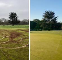 Determination, teamwork and Johnsons Sports Seed overcomes destruction at Thorndon Park